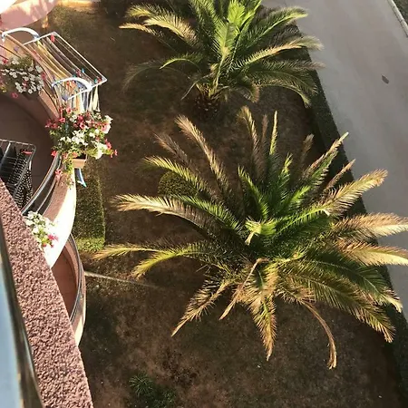 Mesmerizing View